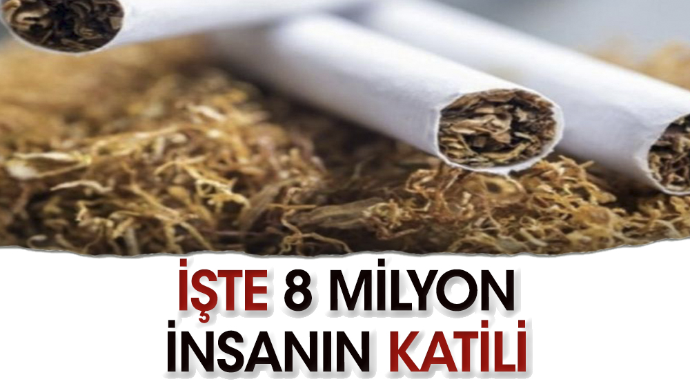 Her yıl 8 milyonu öldürüyor